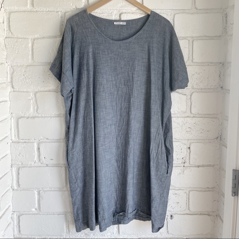 Only Child Chambray Dress
